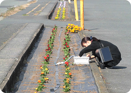咲く花に、願いを込めて