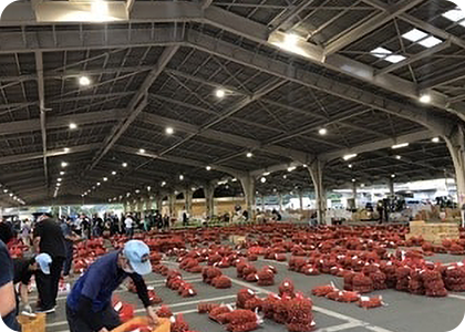 今年もたくさんの栗が集まりました。