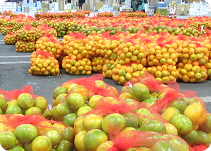 鹿南中学校への職務講話を実施しました。