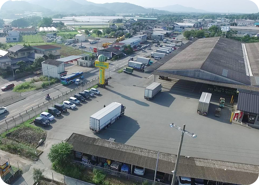 今年初の・・・