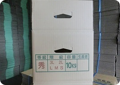 玉葱のダンボールが変わりました